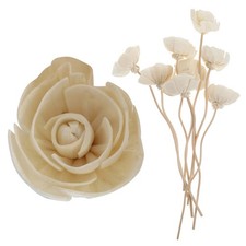 9 Pcs Pour Diffuseur De Parfum