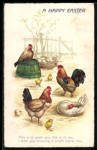 Carte postale poussins - , de