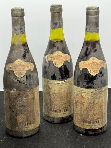 Lot pommard 1981 domaine - pommard,