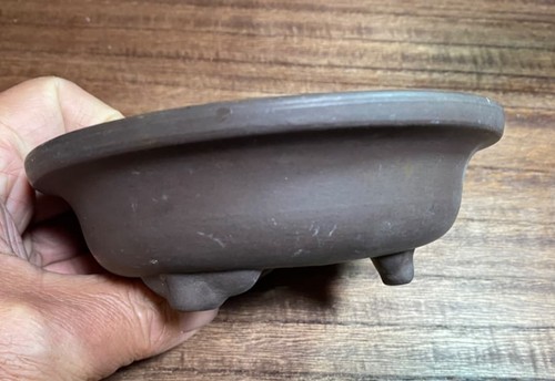 Petit bonsaï pot foncé - petit,