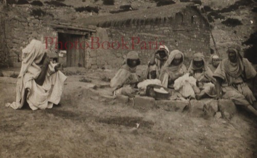 Algérie cardeuses laine - algÉrie, de