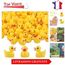 100 Mini Canards en Résine