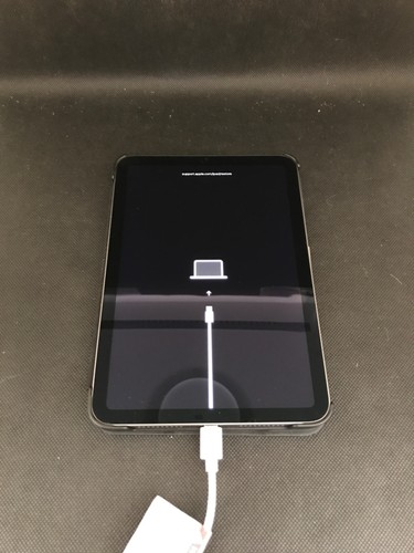 Apple ipad mini - 6, 8,3