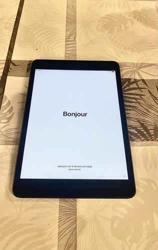 Apple ipad mini 2eme - apple,