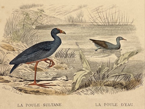 Sultan 1852 ancienne - 1852,