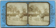 FRANCE Travaux agricoles Photo Fraget & Viret c1865 Stereo Vintage 