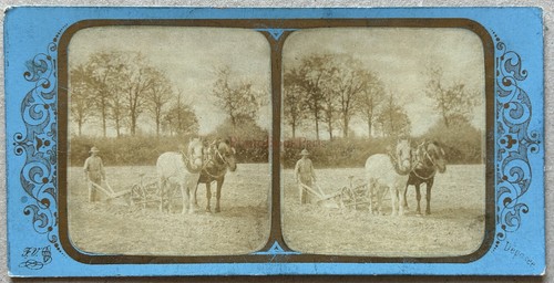 France travaux agricoles - agricoles, photo