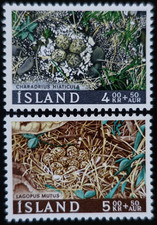 TIMBRES d' ISLANDE - NIDS