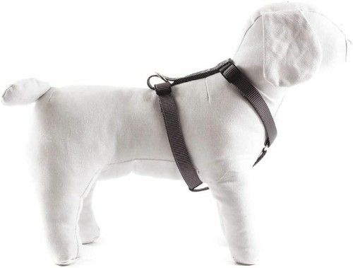 Harnais pour chien moyen - harnais,
