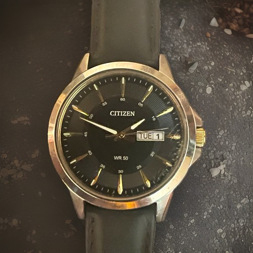 Citizen 1502 s097843 men - citizen, 1502-s097843