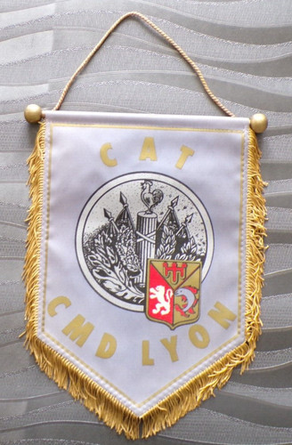 Original militaire fanion - original, cat