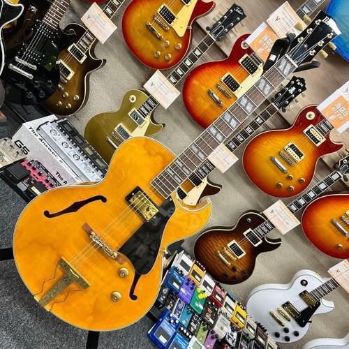 Guitare électrique acoustique