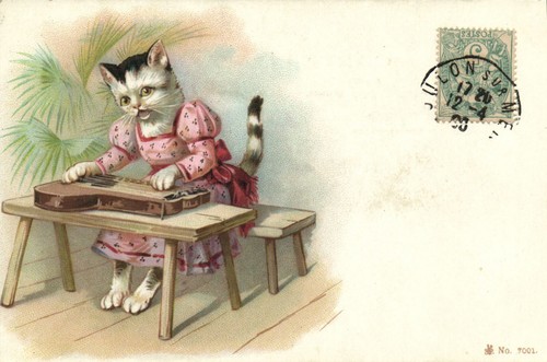 Cats anthropomorphic cat - cats,,