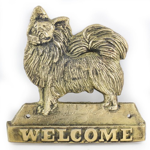 Chihuahua poils longs plaque - chihuahua,