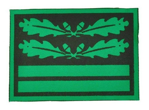 Grade oberst leutnant - oberst-leutnant, tenue