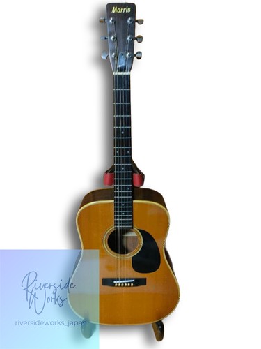 Guitare acoustique électrique