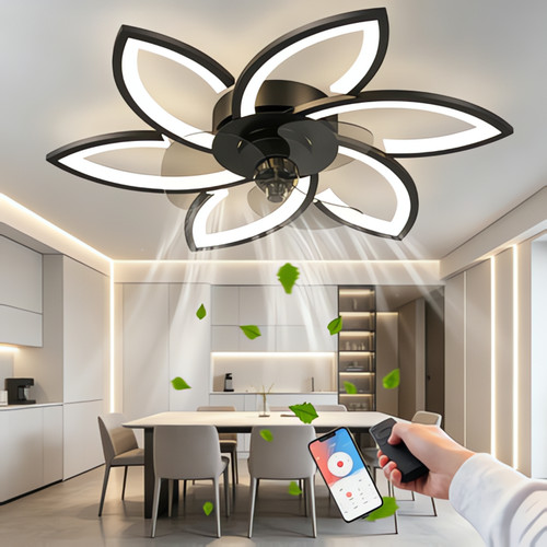 Ventilateur avec éclairage - ventilateur,
