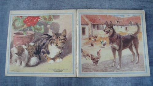 Livre images enfant - d'images,