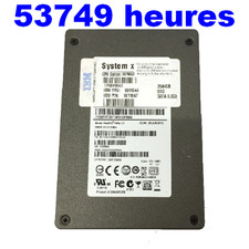 SSD IBM MTFDDAK256MAR (256 Go)