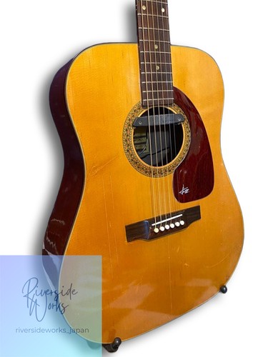 Takeharu guitar wt150 electric - takeharu,