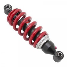 Amortisseur arrière P2R pour