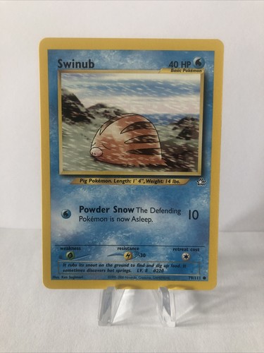 Pokemon swinub neo genesis - pokemon,