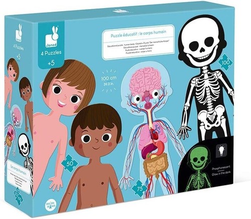 Puzzle educatif corps humain - humain,