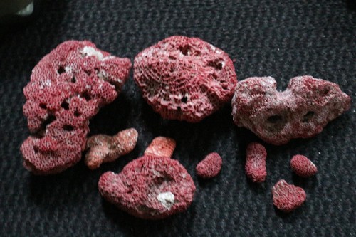 Lot corail rouge 230 - de,
