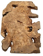 1X Racine D'Olivier Bois