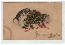 CHAT #17062 COUPLE DE CHATS GRIS TIGRE RENVERSANT UN PANIER DE GUI HEUREUSE AN