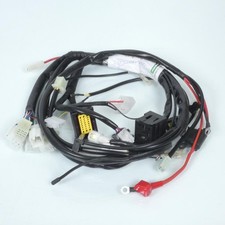 Faisceau électrique origine