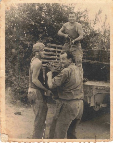 Ancienne photographie radio - photographie,