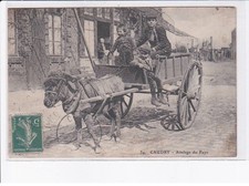 CAUDRY: attelage du pays, âne - très bon état