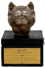 Chihuahua Poil Long Noir