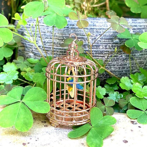 Cage oiseaux décorative - À,