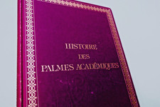 Palmes académiques - De la double palme de l'Université..