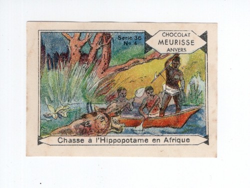 Chromo chasse hippopotame - chasse, l'hippopotame
