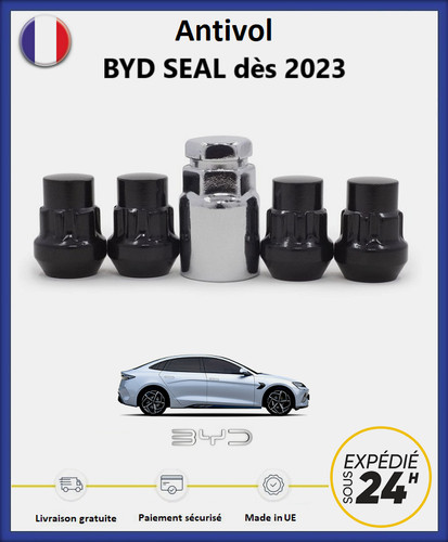 Ecrous antivol roues noir - antivol,