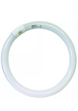 Reer Néon Fluorescent