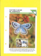 Fiche - N°66 - Sauver