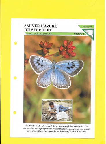 Fiche sauver - n°66,