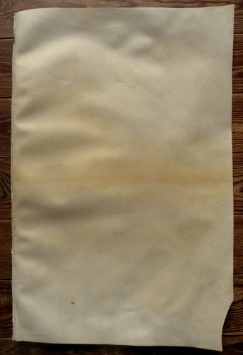 Grande peau vélin véritable