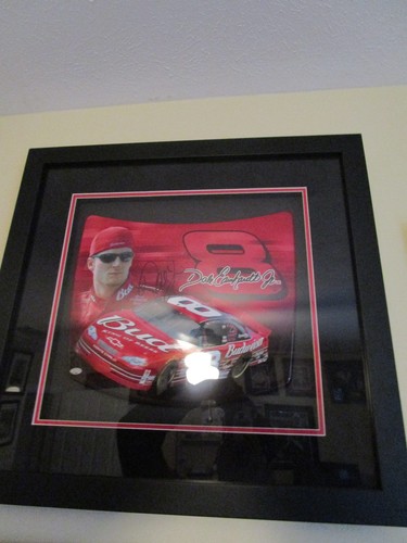 Signed shadowbox frame dale - ,