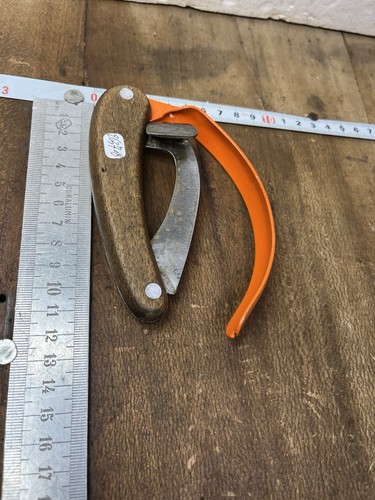 Rainette marquage forestier - marquage,
