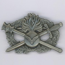 Brevet Pilote d’Hélicoptère GSN  023 Arthus-Bertrand 2005 Constable GDM