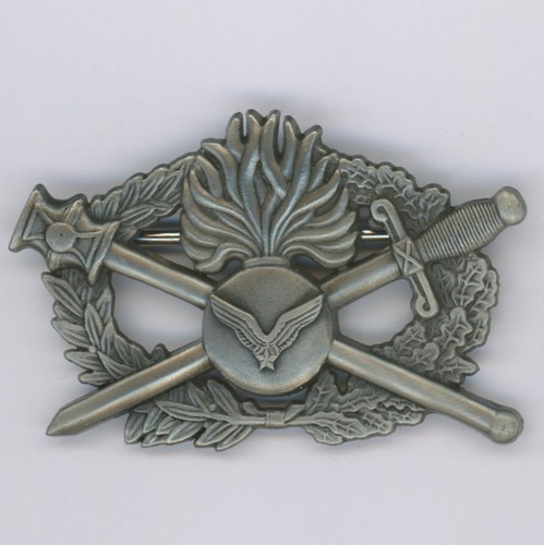 Brevet pilote - brevet,