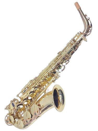 Selmer saxophone sa80 - h.selmer,