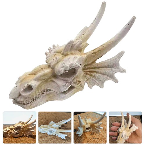 Crâne dinosaure résine - crâne,