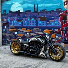 Échappement Harley V-Rod