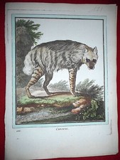 171 GRAVURE XVIIIe  Histoire